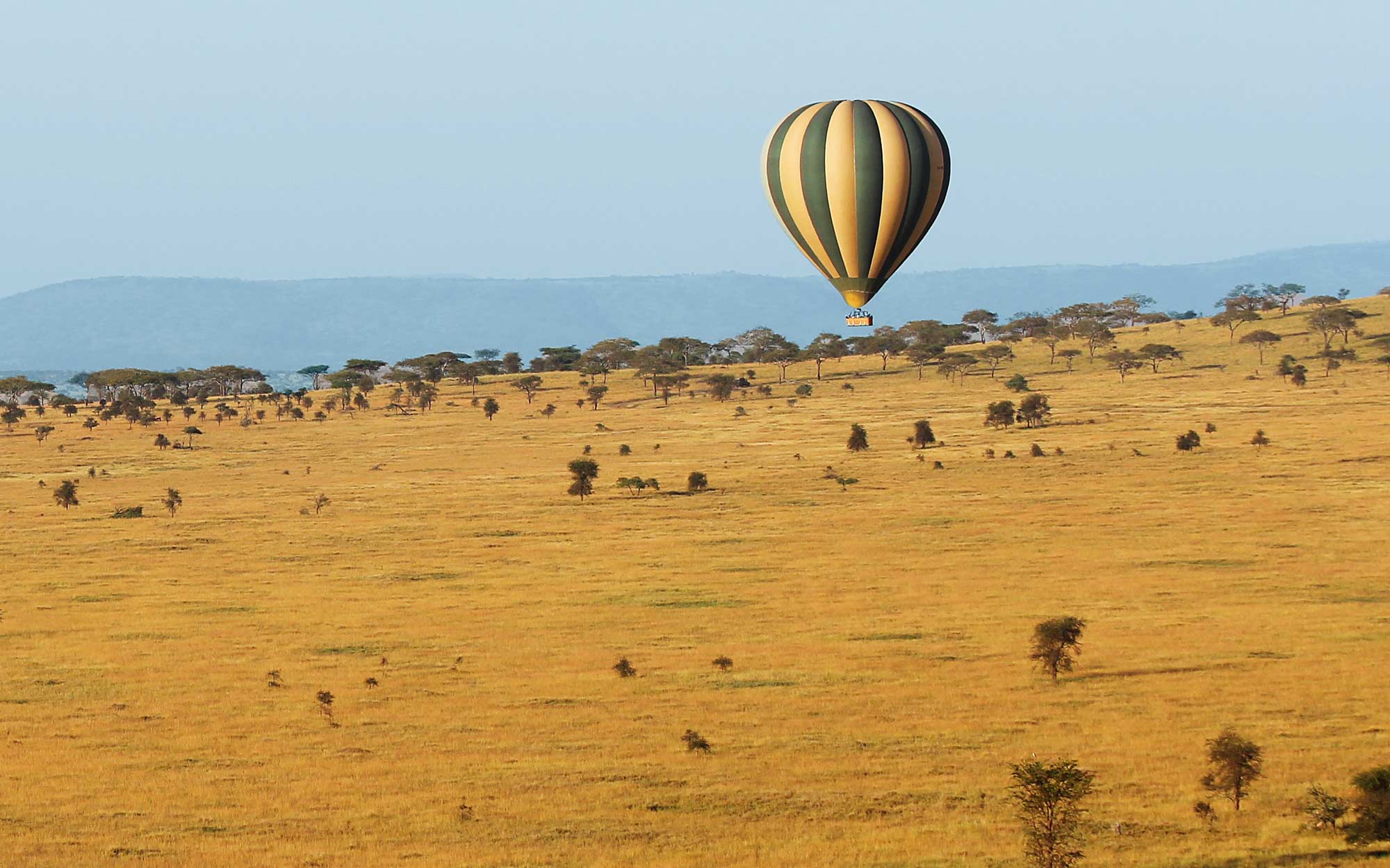 Hot Air Balloon sails over African savanna