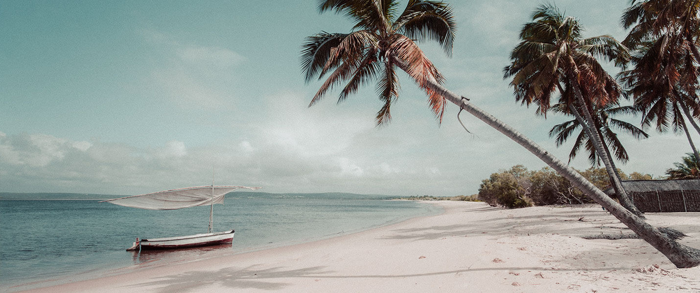 A palm-fringed beach Mozambique