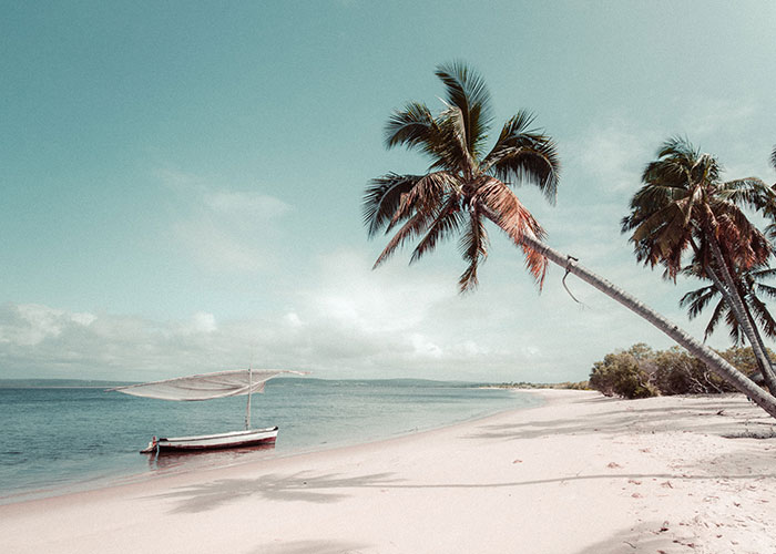 A palm-fringed beach Mozambique