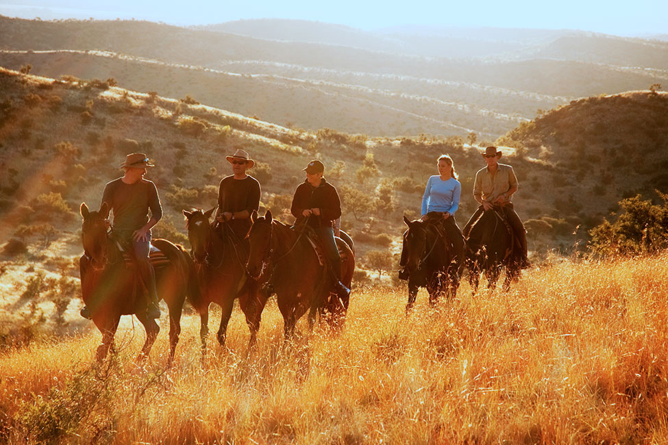 five people ride through African savanna on horses