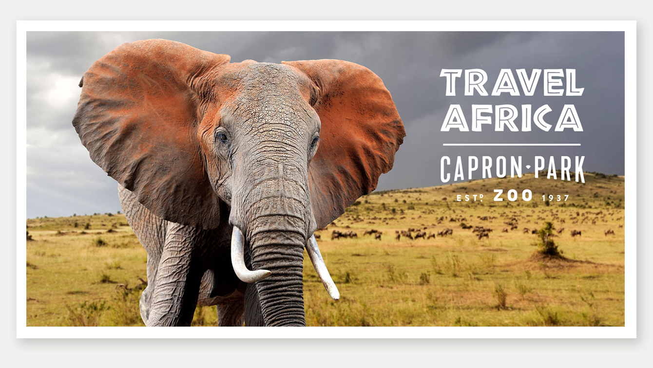 Travel Africa with Ujuzi Postcard