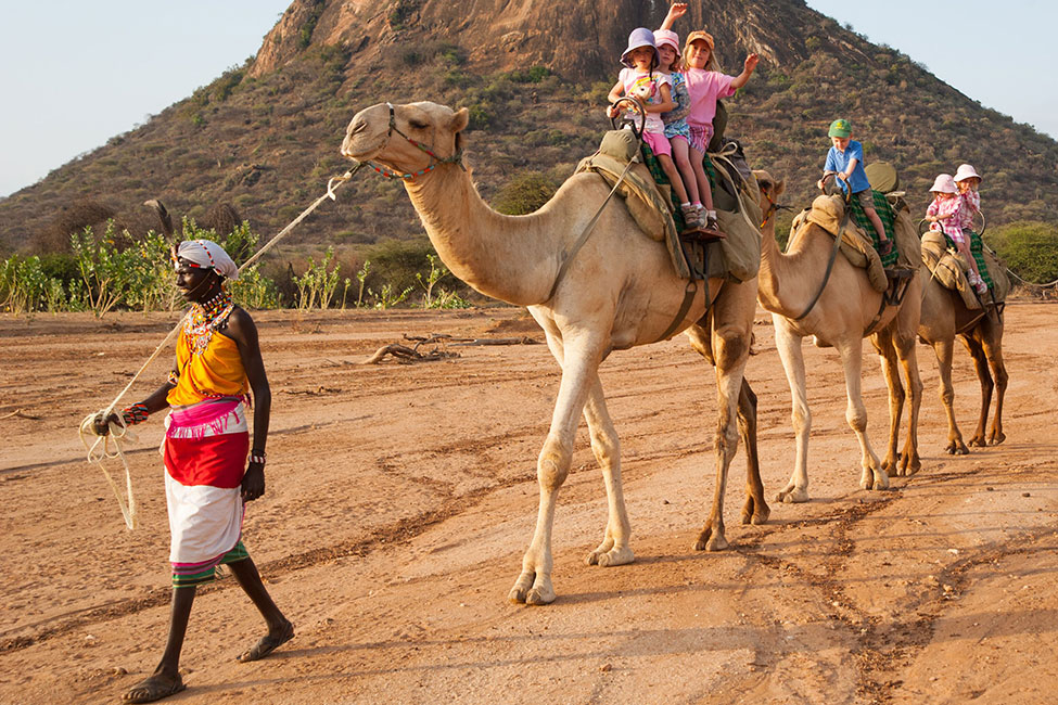 Safari-goers on a camel safari--three camels with travelers on back are led by a man in colorful clothing