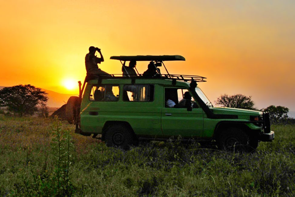 Safari-goers look out from the top of a parked safari vehicle during a sunset game drive