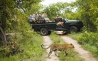 What is a Game Drive and 5 Basic Things to Know Before You Go | Ujuzi ...