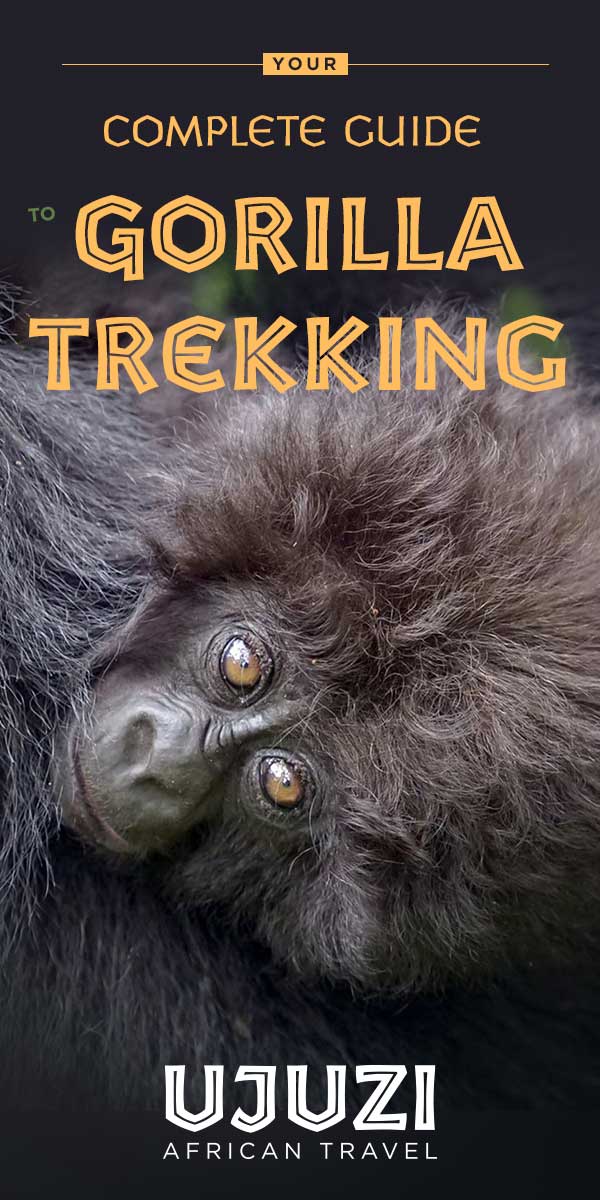 Complete Guide to Gorilla Trekking Pin