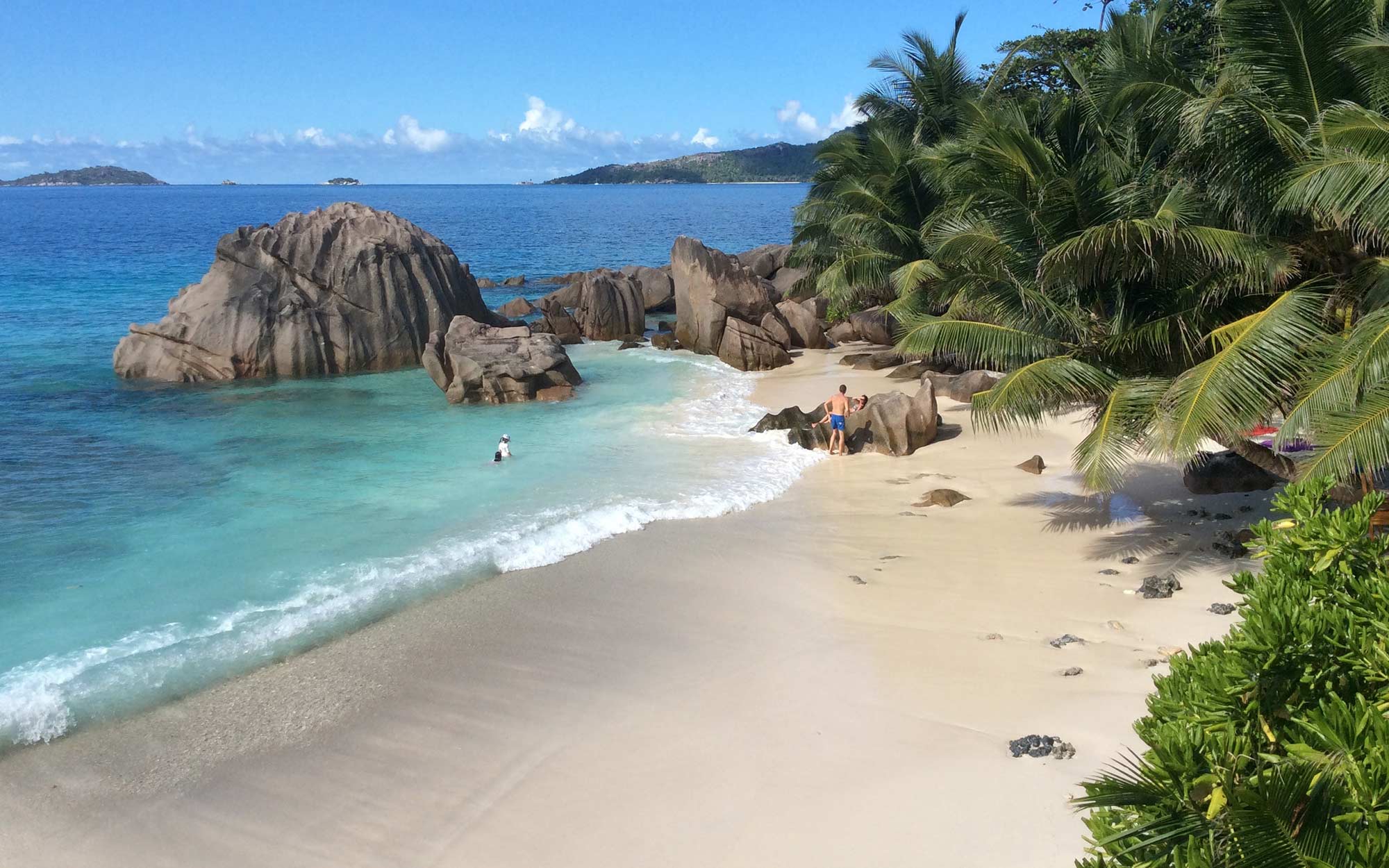 turquoise water washes up on beige sand fringed by green trees on a Seychelles Beach Safari