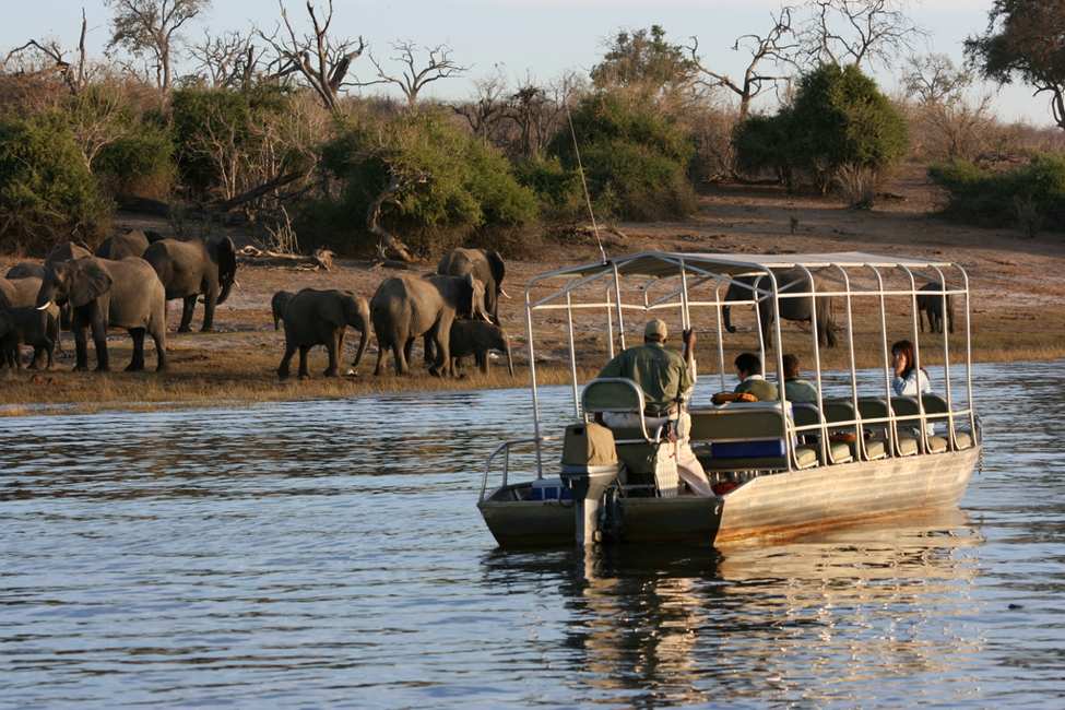 People on a boat look at elephants on the Chobe Riverfront