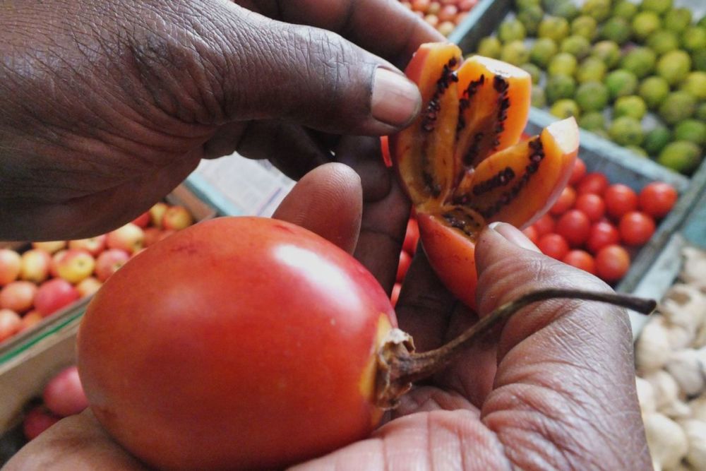 Kenya-Nairobi-City-Market-Tamarillo-Orrling-Flickr close up of a tamarillo fruit in a persons hands at Nairobi City Market