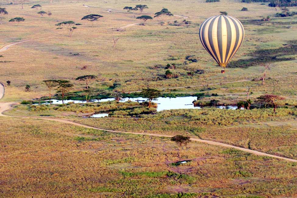 a green and yellow hot air balloon floats above Serengeti savanna in Tanzania Africa