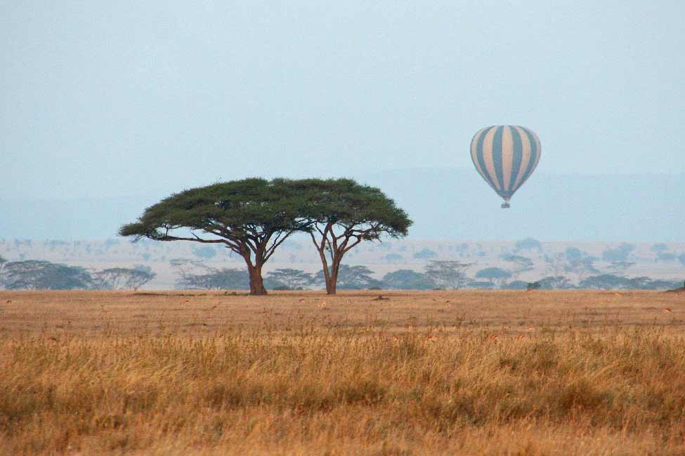 a hot air balloon floats above savannah in Tanzania Africa