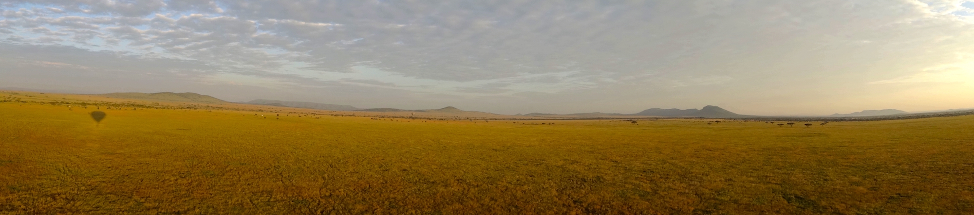 hot_air_balloon_serengeti_tony_raab view of the Serengeti plains from a hot air balloon