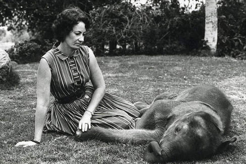 Daphne Sheldrick with an orphan elephant