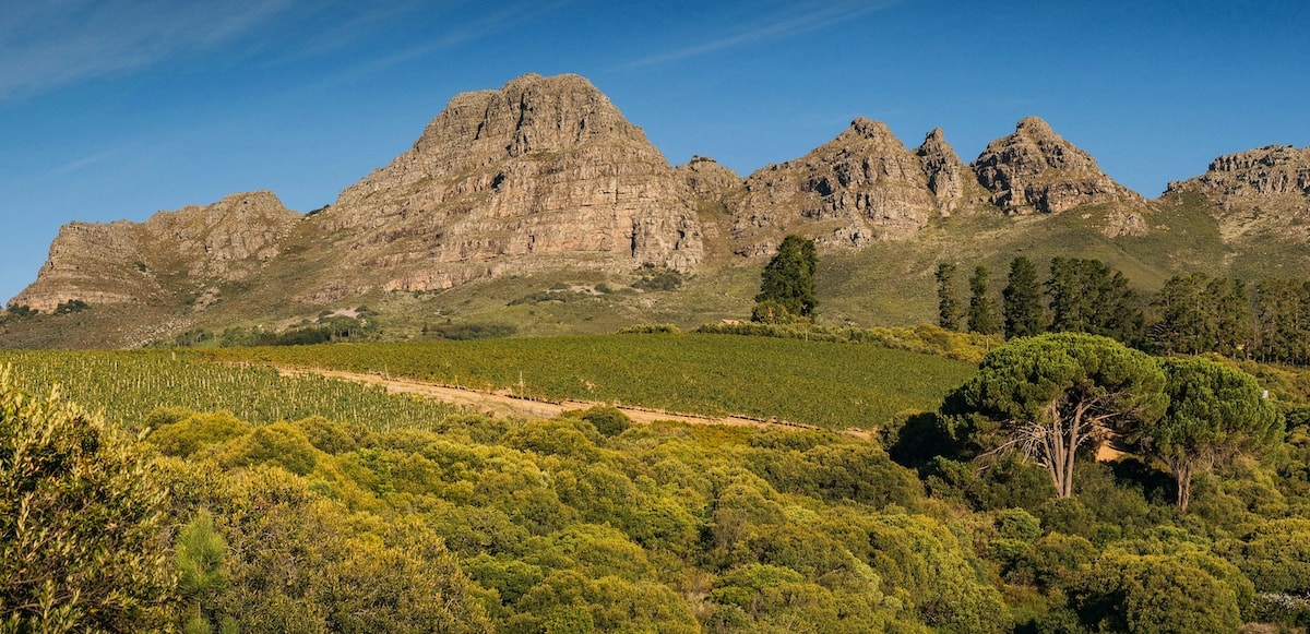 rolling vineyards with rocky outcrop or mountain in the background