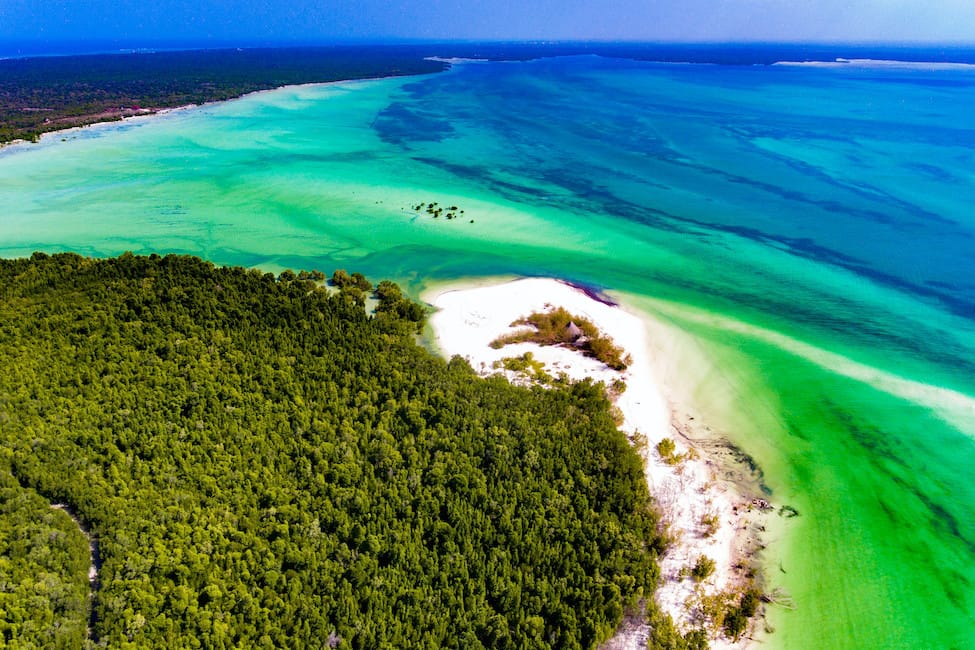 aerial view of a mangrove forest on Michamvi Zanzibar coastline with turquoise and blue waters