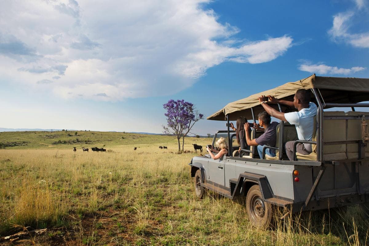 travelers in a game drive vehicle on savanna near the cradle of humankind in South Africa