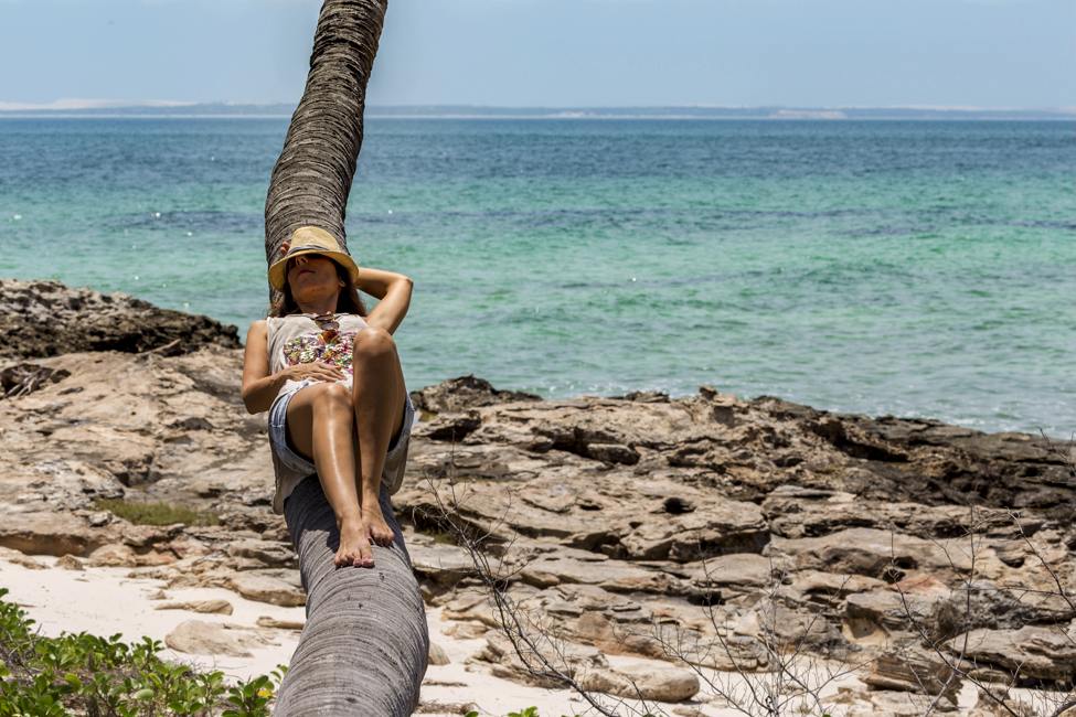 person relaxing on a horizontally growing Palm Tree at a Santa Carolina Island, Mozambique