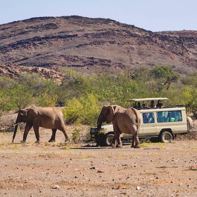 two elephants walk around an Ujuzi safari vehicle in Namibia
