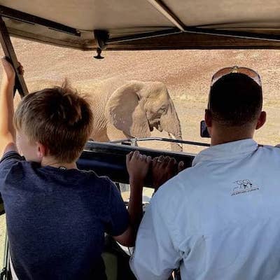namibian safari guide and child traveler look out of safari vehicle at an elephant