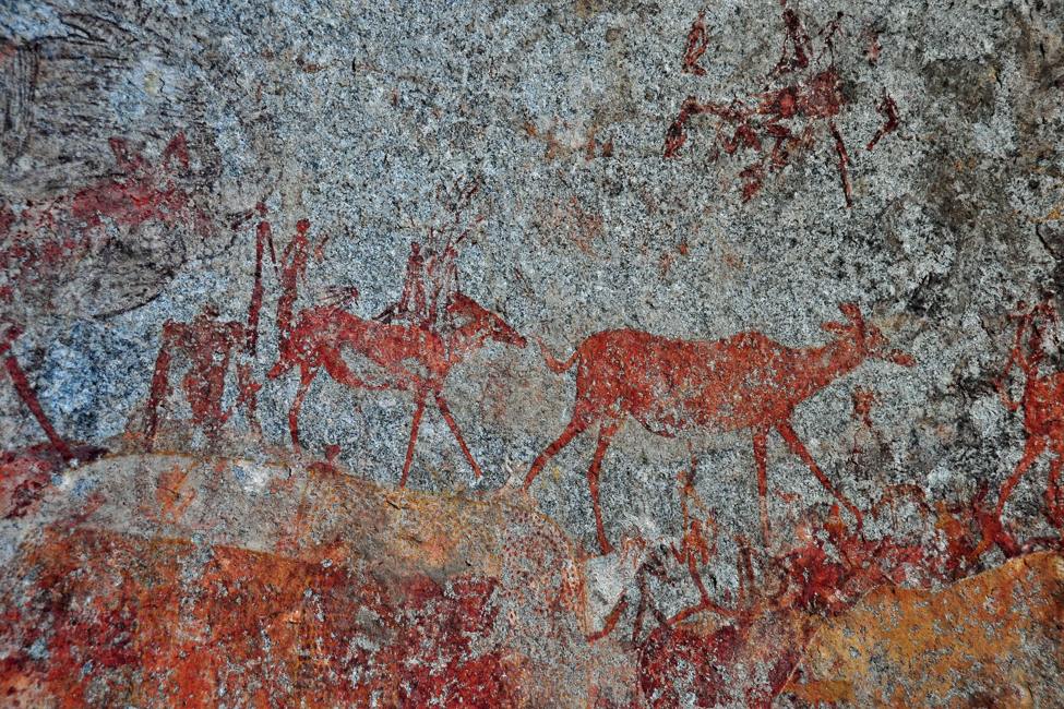 prehistoric rock painting at Matopos Hills national Park Zimbabwe attributed to San (Bushmen) people that portrays antelopes walking in front of humans in red paint on gray granite background