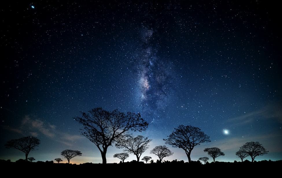masai mara nighttime landscape with starry sky