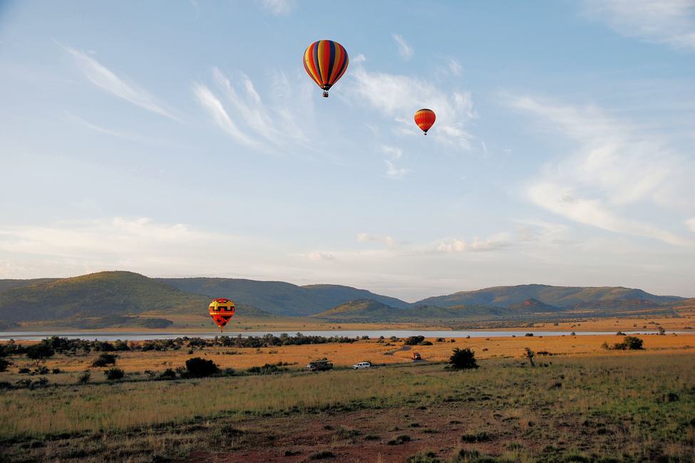 hot air balloons float over a safari park near Cape Town south Africa