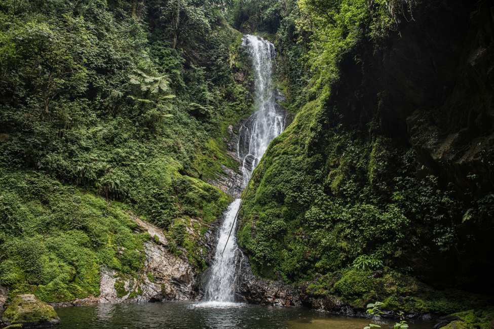 A long waterfall Cascades Down between trees and shrubbery at Nyungwe National Park