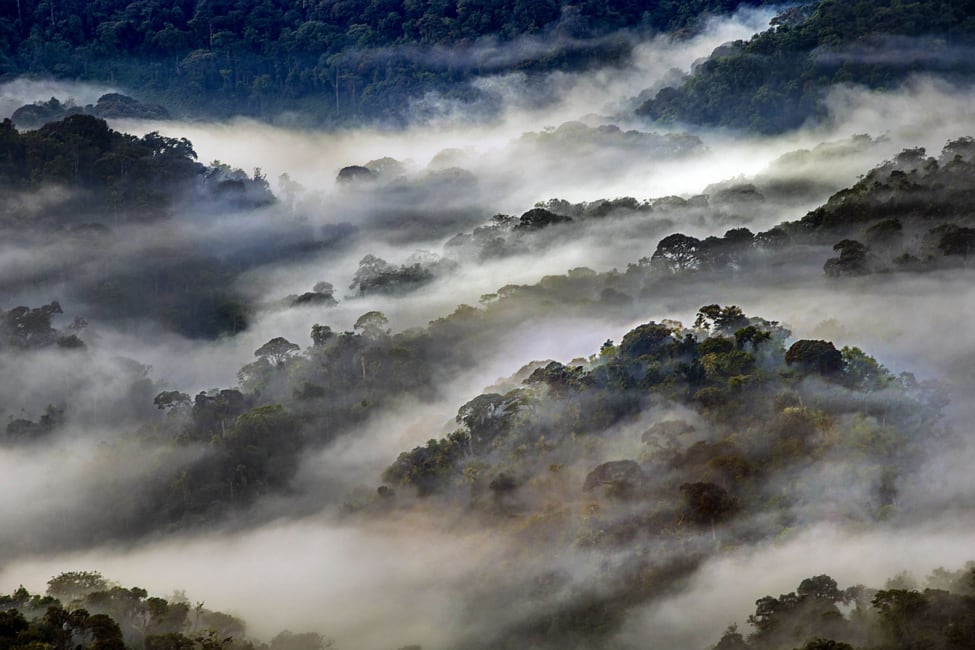 rwanda-landscap-visit-rwanda Rwanda landscape shows clouds or fog lacing through mountainous forest